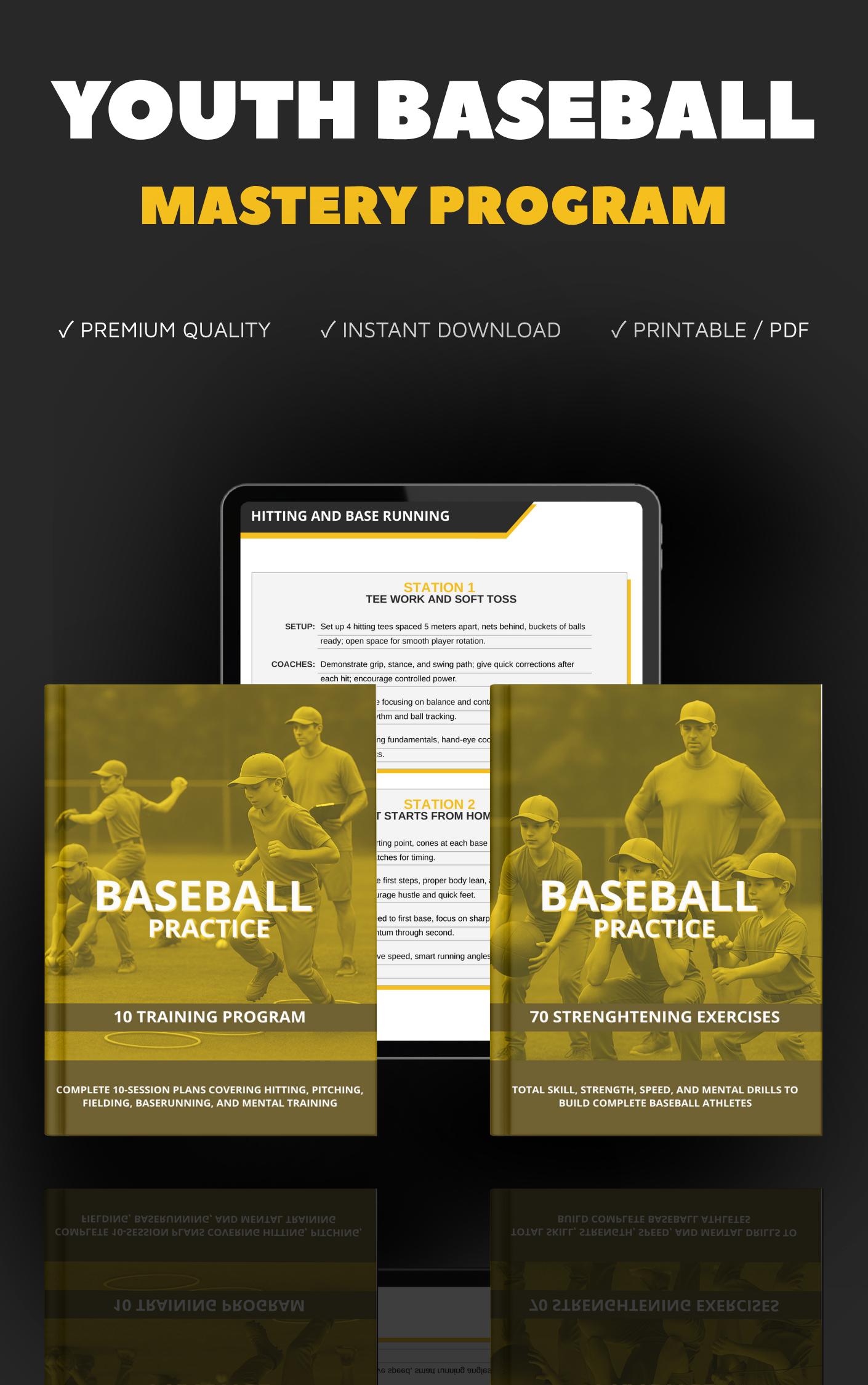 Youth Baseball Mastery Program